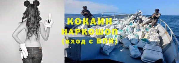первитин Няндома