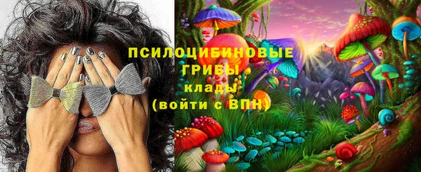 МДПВ Осинники