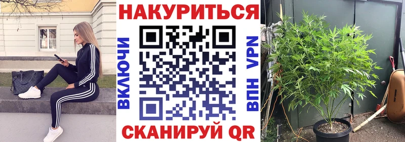 MEGA ТОР  Рыбное  Бошки Шишки гибрид 